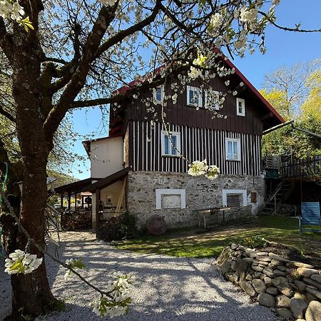Vila Adelka - Utulna Chalupa V Krkonosich Horní Maršov エクステリア 写真
