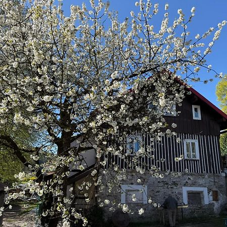 Vila Adelka - Utulna Chalupa V Krkonosich Horní Maršov エクステリア 写真