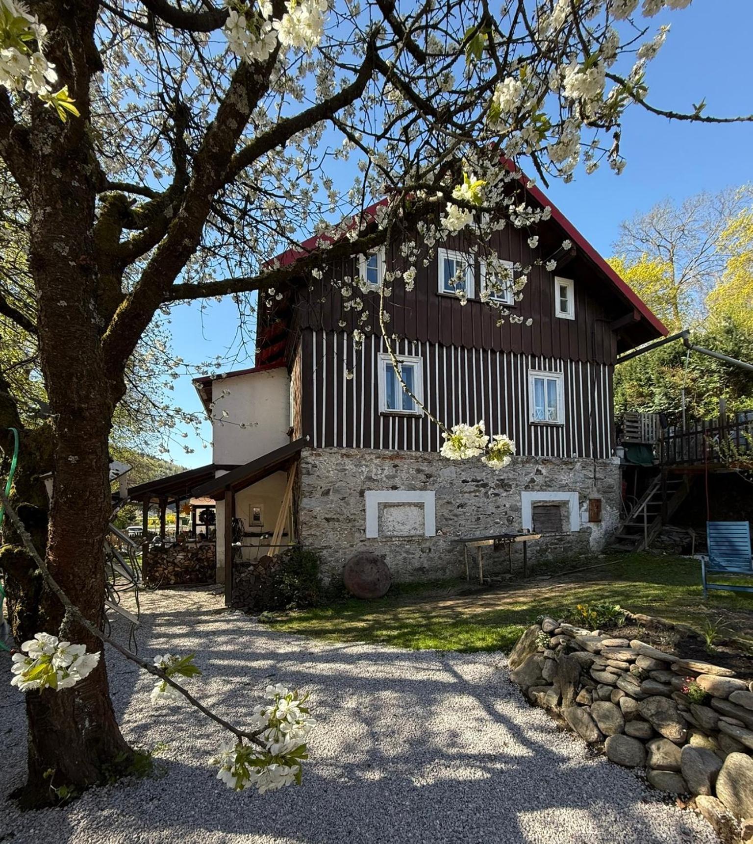 Vila Adelka - Utulna Chalupa V Krkonosich Horní Maršov エクステリア 写真