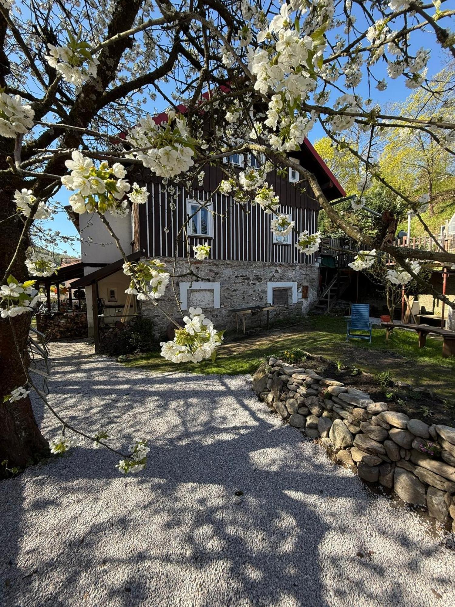 Vila Adelka - Utulna Chalupa V Krkonosich Horní Maršov エクステリア 写真